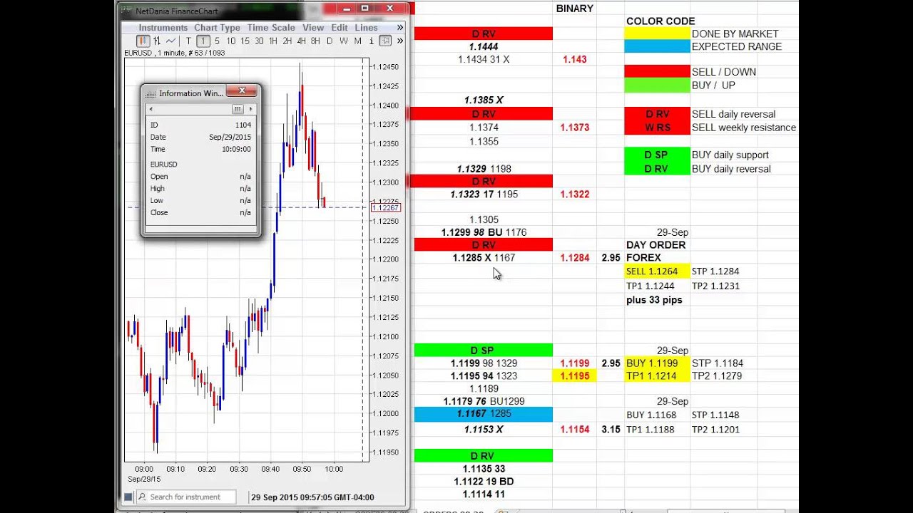 daily forex signal update