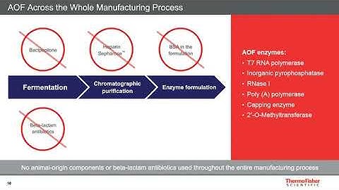 Critical raw material for mRNA-based vaccine development