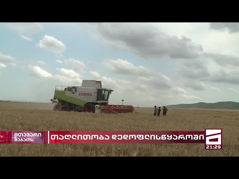 კახეთში,ფერმერები კუთვნილი მიწისა და მოსავლის პოლიციის დახმარებით წართმევაში ინდოელებს ადანაშაულებენ