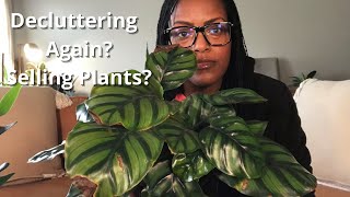 My 1st Declutter of 2022 | Decluttering my Plants After My Mental Break
