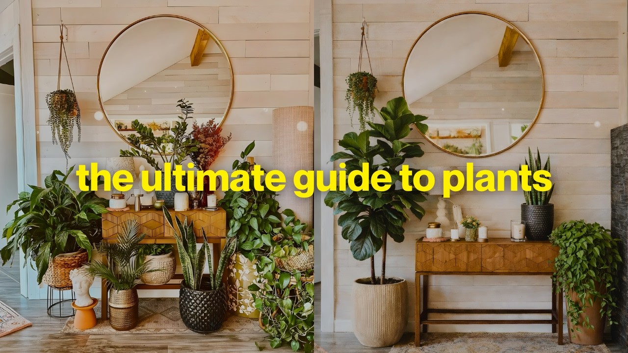 The Ultimate Guide To Plants (For Your Home) - YouTube