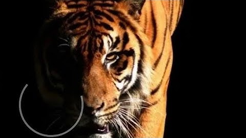 kuwar chain singh #kunwarchainsingh kunwar चैन सिंह #mppsc @studyforpcs8017 #bpscexam #cgps