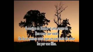 A Ecelencia Da Sabedoria