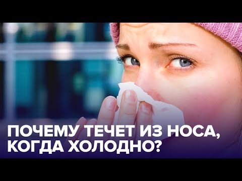 Почему на морозе течет из НОСА?