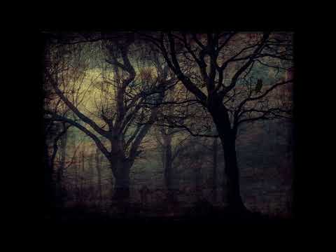 フクロウ～フクロウが知らせる客が来たと～/KOKIA