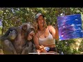 CHIMP PAINTING ft VALI & ANGADA !