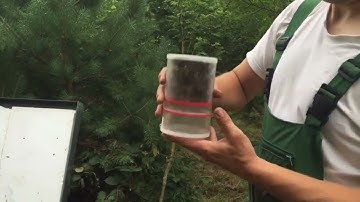 Co2 Varroa Check - Beekeeping Must-Have