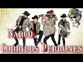 Narco Corridos Perrones ☆☆los cuates de Sinaloa