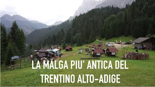 LA MALGA PIU' ANTICA DEL TRENTINO! MALGA CIVERTAGHE