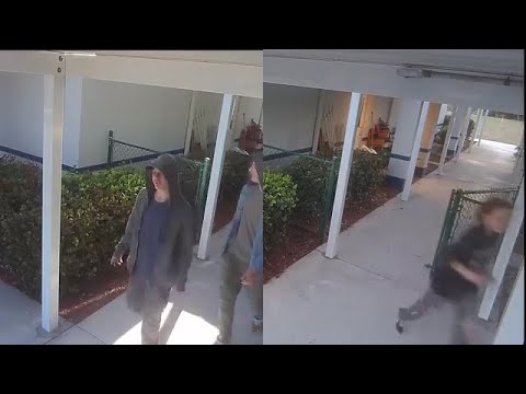 Three teens caught on camera vandalizing Fort Myers school