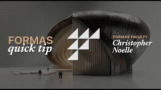 Point Cloud and Multiple Angle Views in FORMAS.AI