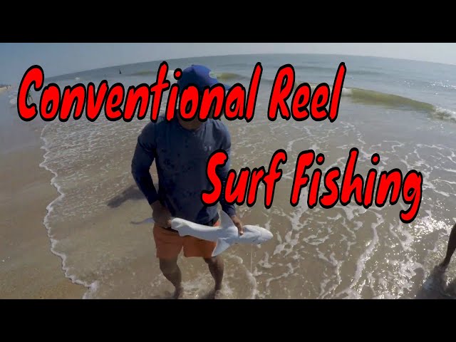 First time Conventional Reel Surf fishing for sharks! 