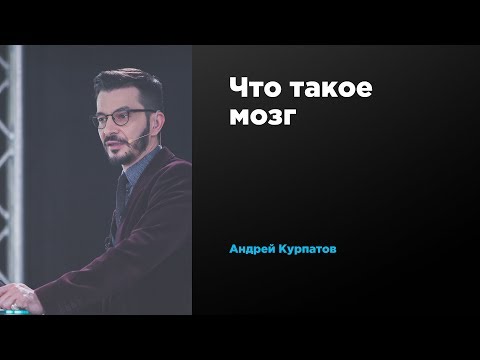 Что такое мозг | Андрей Курпатов | Prosmotr