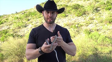 How To Properly Handle a Snake