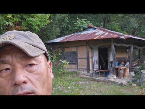 함백산 새빠지게 일하다 퇴근하니 산더미 일거리 ㄷㄷ  ?