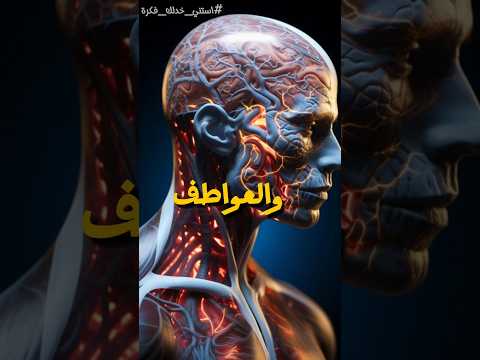 إعجاز قرأني عن العقل من ١٤٠٠ سنة