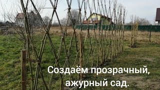 1 марта 2024 г. Создаём прозрачный, ажурный сад.