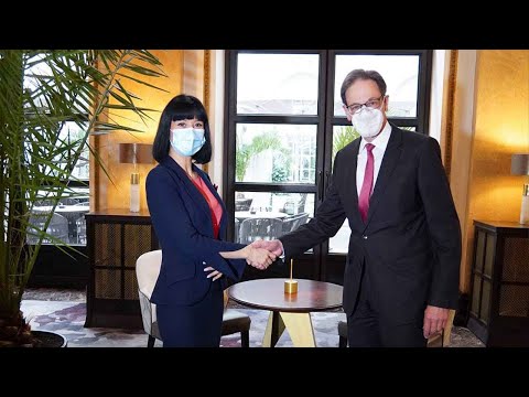 თეა ახვლედიანი გერმანიის ელჩს შეხვდა