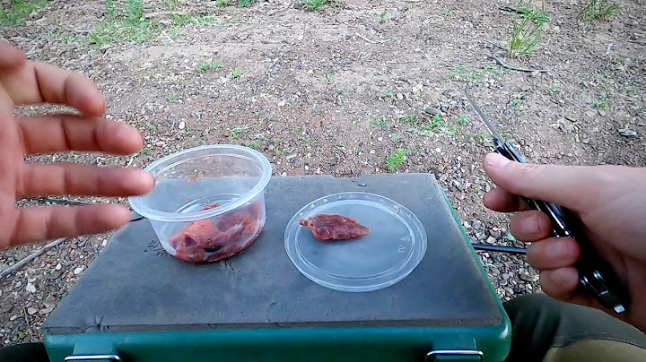 Рыбалка на говяжье мясо