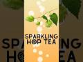 Zero Sugar Sparkling Hops That Actually Taste Good #wellness #drinks
