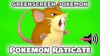 Pokemon Raticate Greenscreen Pokémon Go Pogo