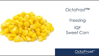 OctoFrost™ IQF Processing Sweet Corn