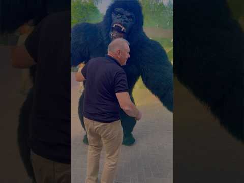 В ШОКЕ ОТ ПОДАРКА Поздравление от Кинг Конга #shorts#кингконг#кингконгроздравляет#кингконгжив