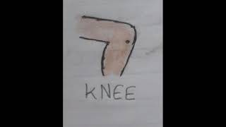 How to draw knee
