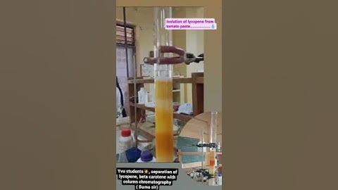 isolated of lycopene from tomato paste