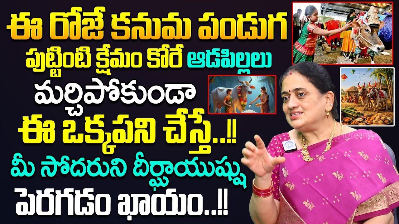 కనుమ పండుగ 2026 : Kanuma Festival Rules 2026 || 