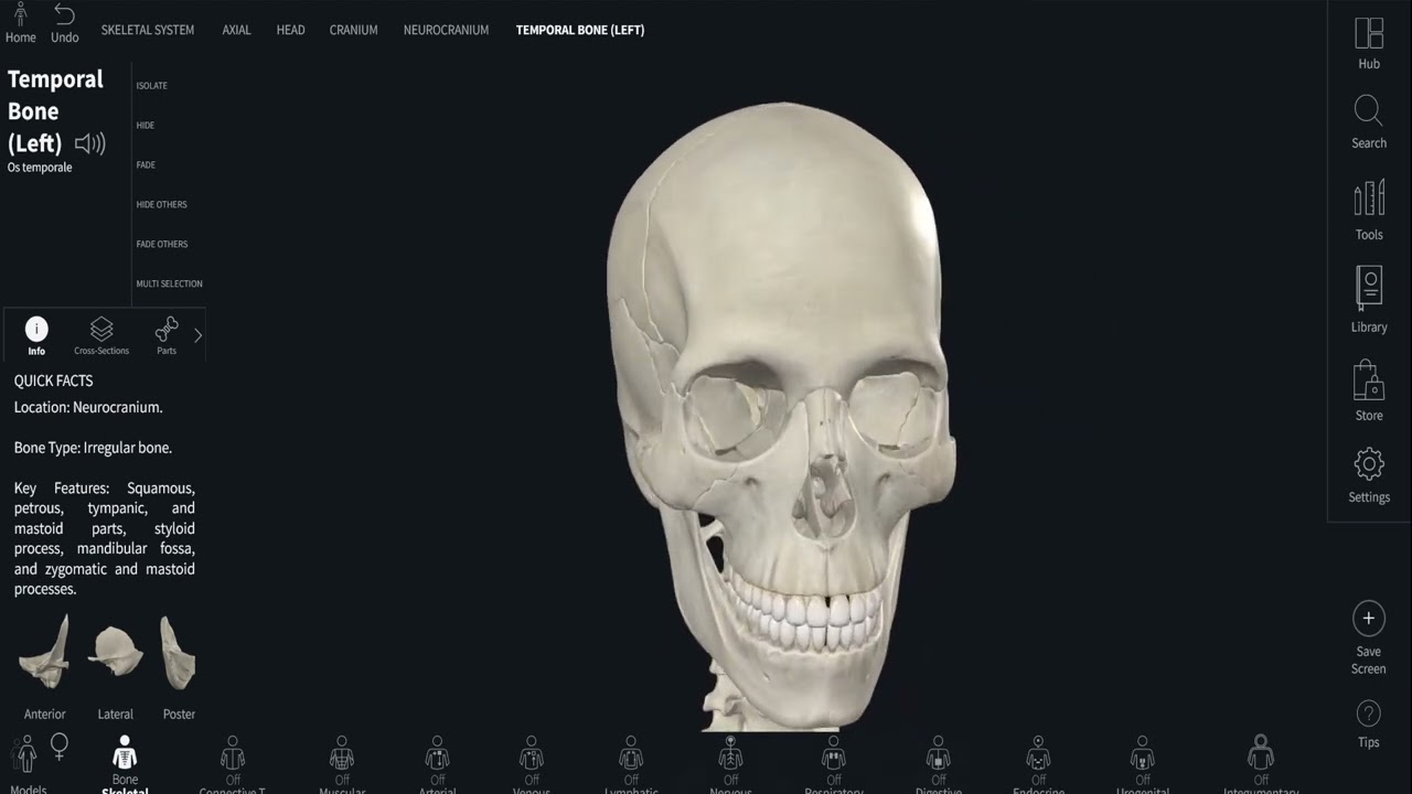 Barrons 7.1 Scheletul capului