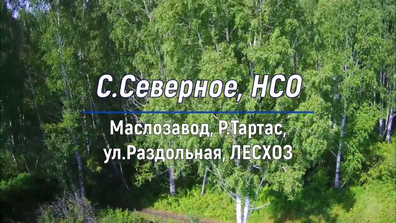 Погода в северном новосибирской на неделю