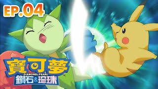 寶可夢 鑽石＆珍珠 | 第4集 波加曼對戰含羞苞 小光的初次對戰！ | 寶可夢 官方