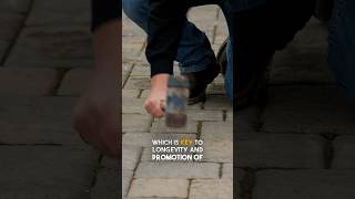 Mastering Joint Sand Consolidation: How to Achieve it with a Rubber Mallet
