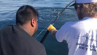 BlueFin Tuna Fishing  Wicked Tuna