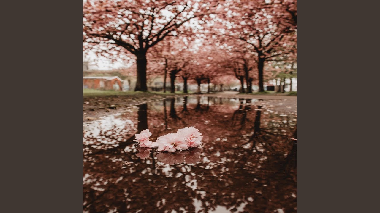 Watch Spring Wonders on YouTube Watch Spring Wonders on YouTube