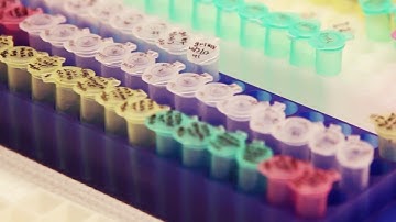 Behind Steel Doors: High Containment Labs at Texas Biomed