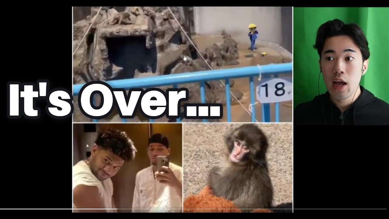 Japanese Reacts Monkey Incident....