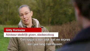 Ruigtes maaien we expres niet (met audiodescriptie) | GROEN UTRECHT