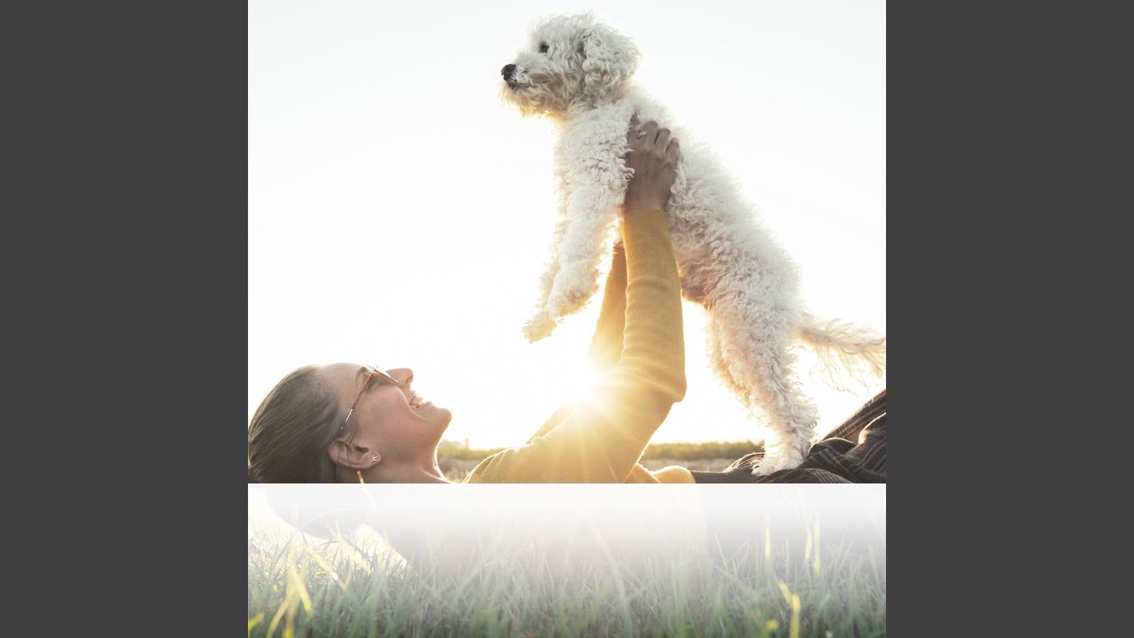 Longing for Velvet Meadows