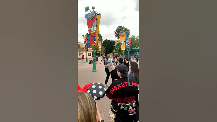 Disneyland March 2019 proposal