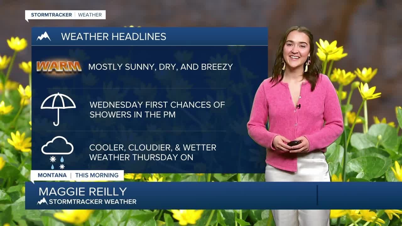 Beautiful sunny conditions on this Tuesday - YouTube