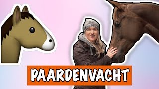 PAARDENVACHT UITLEG! | PaardenpraatTV
