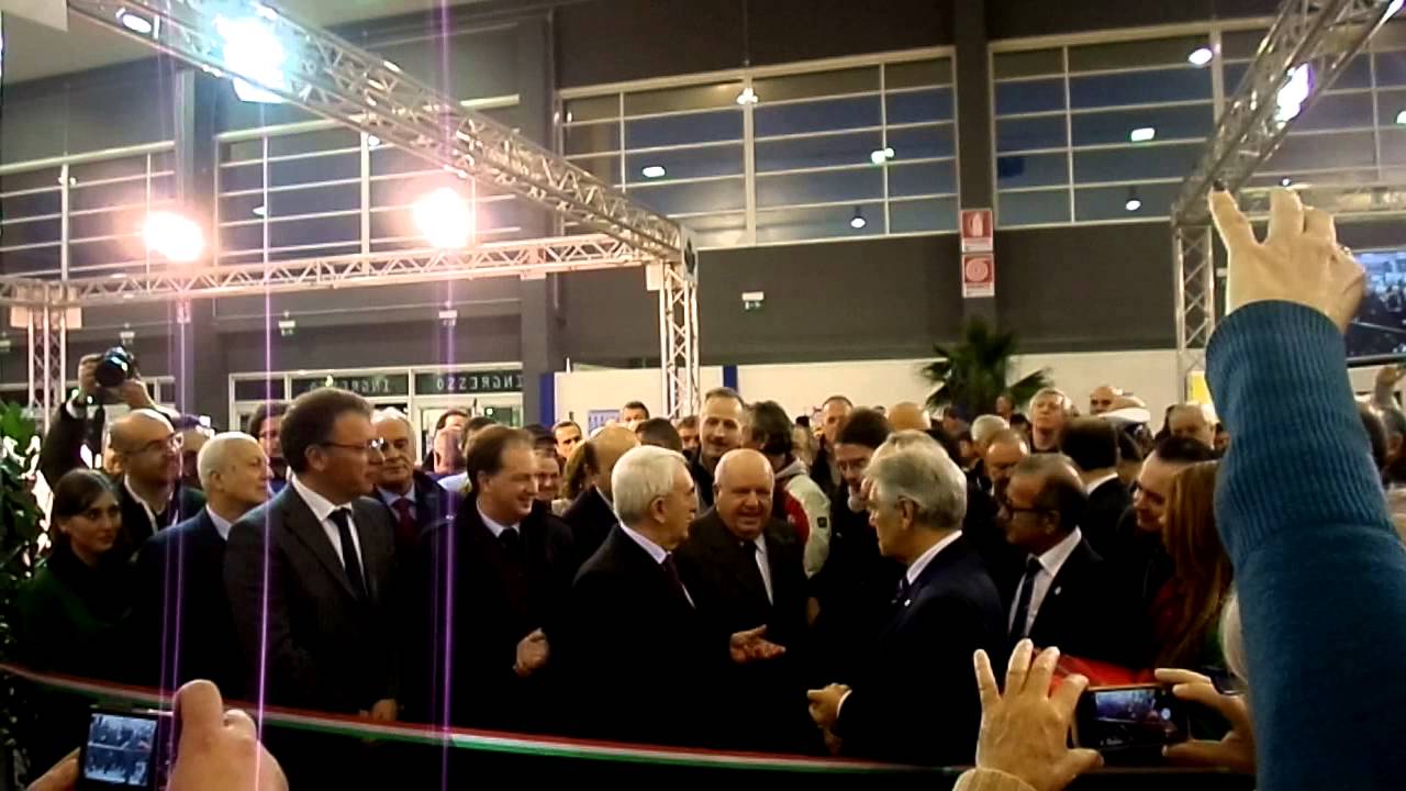 obrázky ptákama v pussys