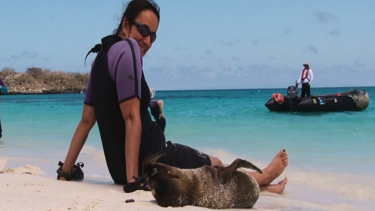 ⁣A Magical Day in the Galápagos on a Beach Packed with Sea Lions