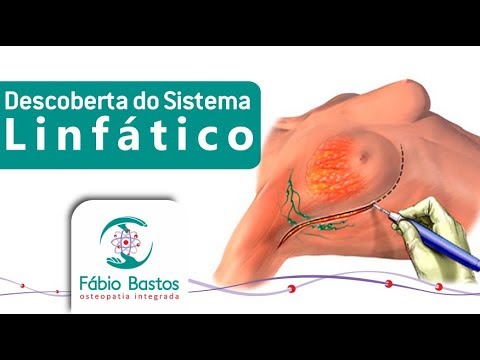 Como limpiar el sistema linfatico