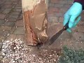 morsches Holz reparieren mit RENOFLEX