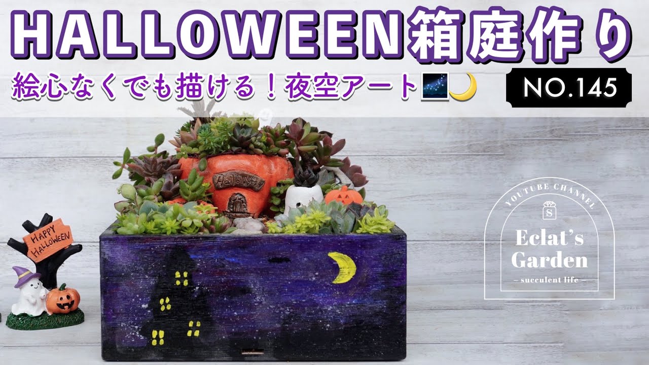 NO.145【多肉植物】ぼろぼろの寄せ植えから箱庭に変身❣️