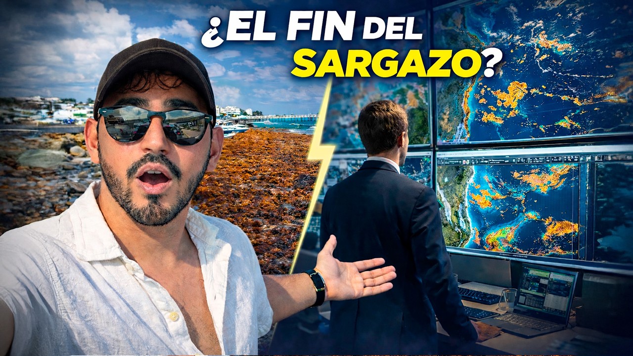 Cancún le Declara la Guerra al Sargazo (2026)