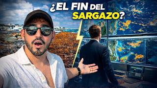 Cancun Declares War on Sargassum (2026)
